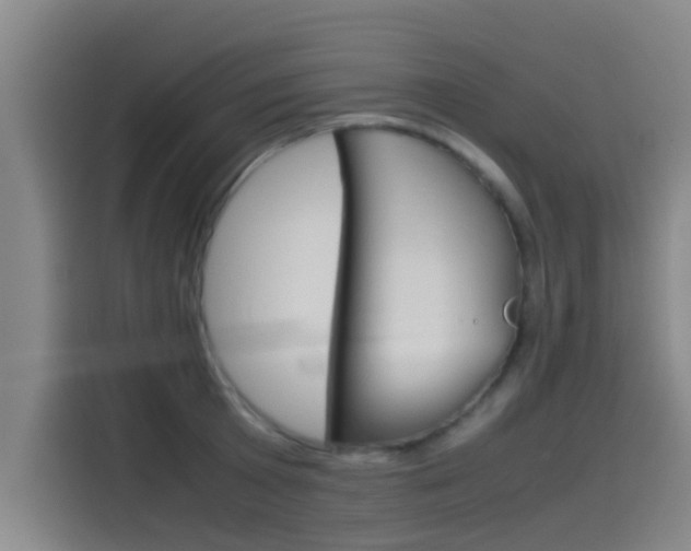 X0000115510801200911061002