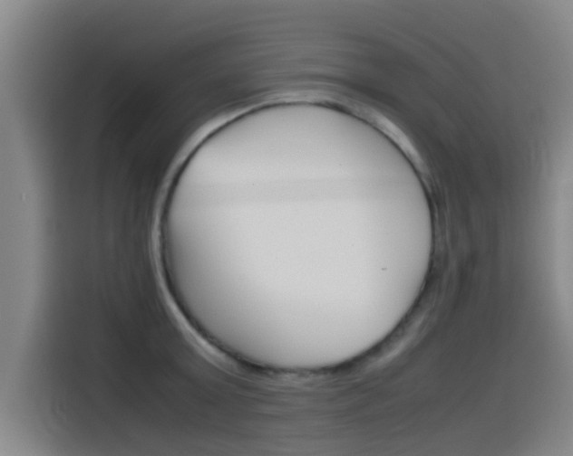 X0000115510803200911061002