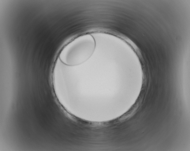 X0000115510807200911061002