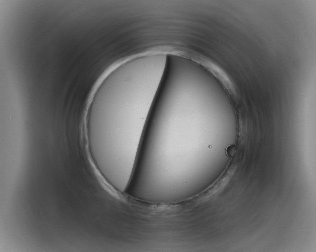 X0000115510808200911061002