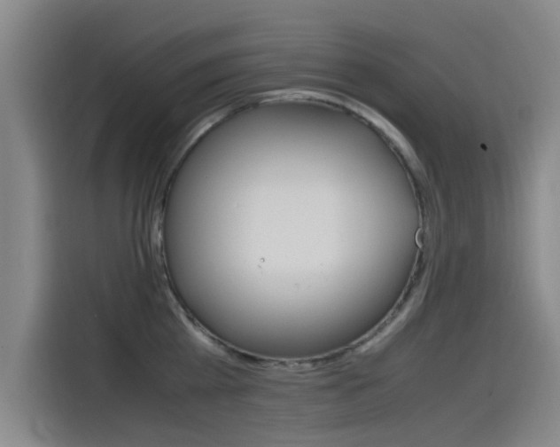 X0000115510809200911061002