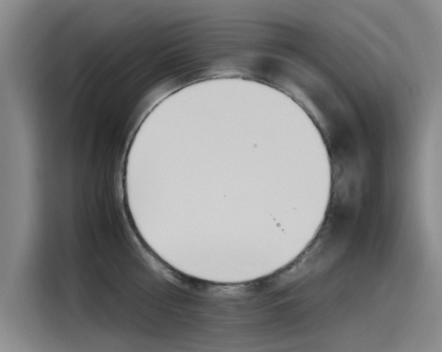 X0000115510810200911061002