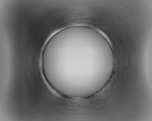 X0000115510811200911061002