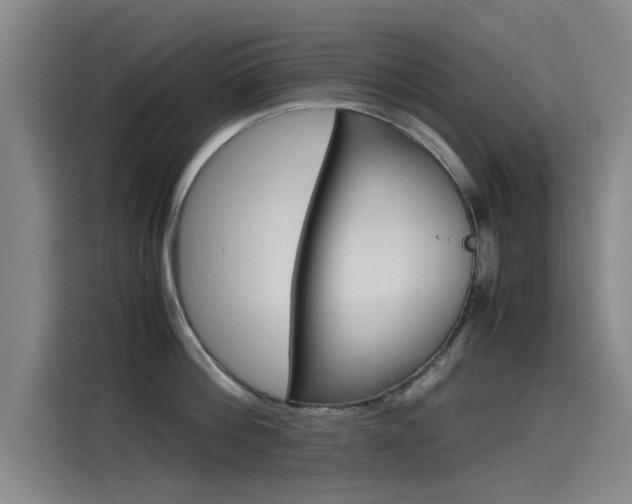 X0000115510812200911061002