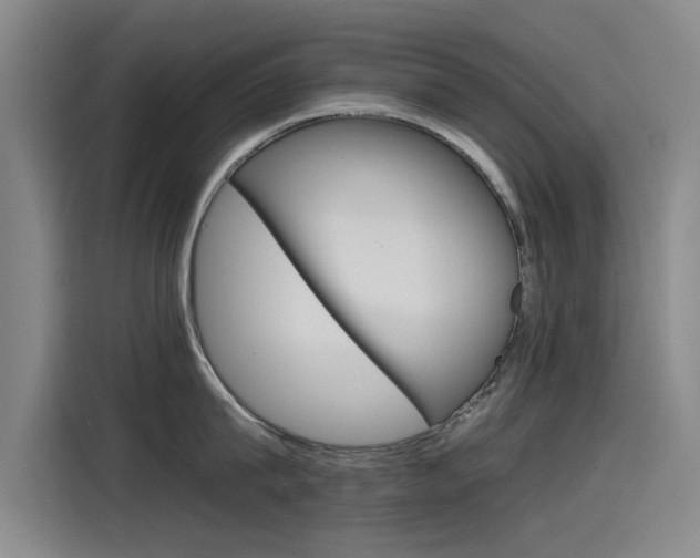 X0000115510815200911061001
