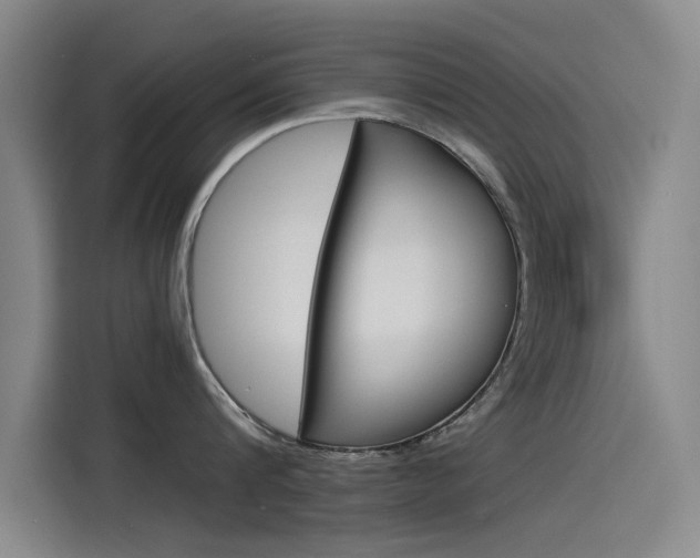 X0000115510816200911061001