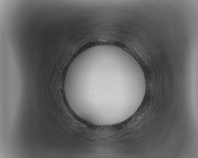 X0000115510817200911061001