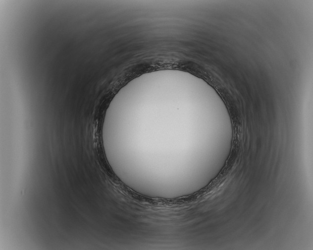 X0000115510818200911061001
