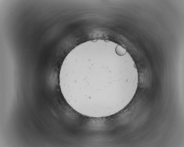 X0000115510820200911061001