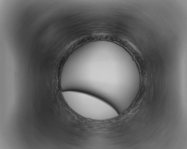 X0000115510821200911061001