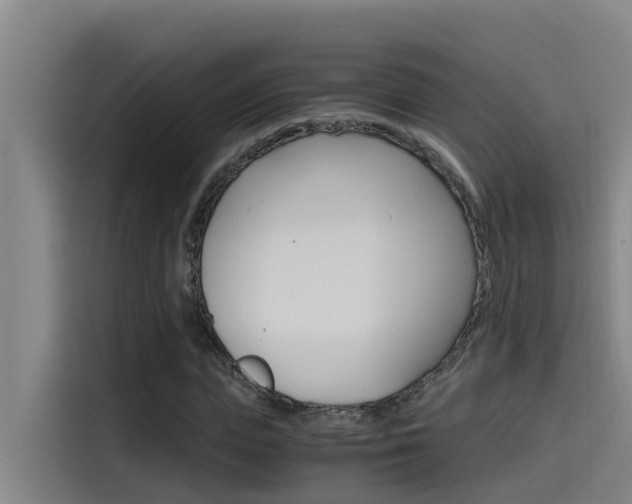 X0000115510823200911061001