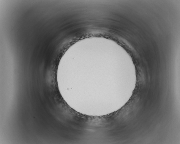 X0000115510824200911061001