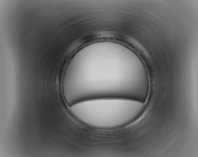 X0000115510825200911061001