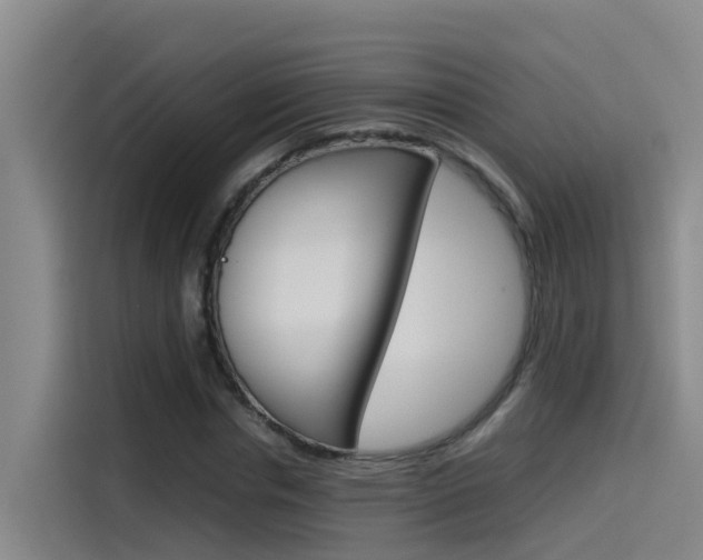 X0000115510826200911061001
