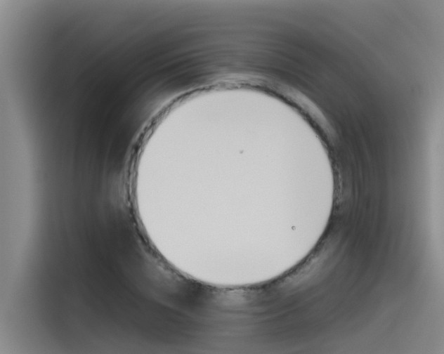 X0000115510828200911061001