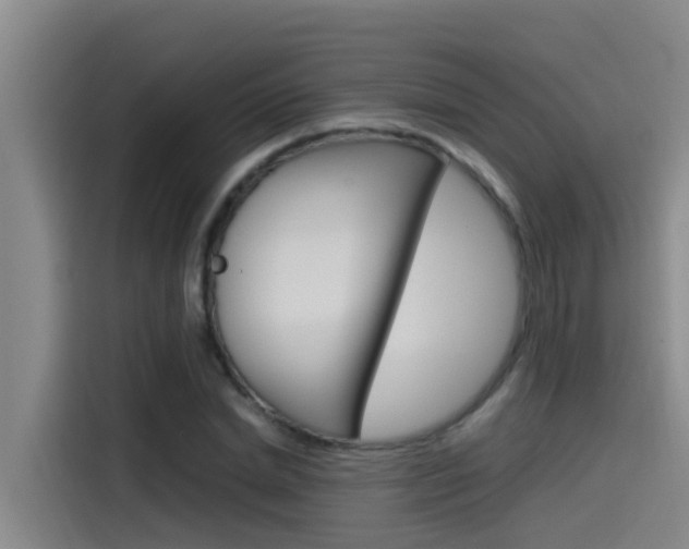 X0000115510830200911061001
