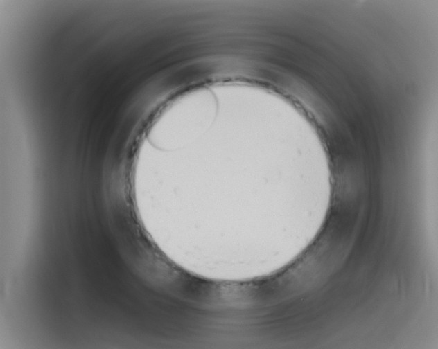 X0000115510832200911061001