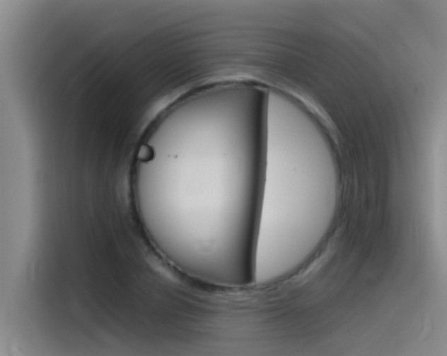 X0000115510834200911061001