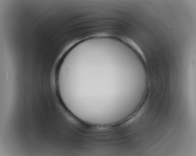 X0000115510835200911061001