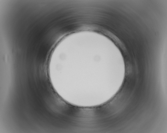 X0000115510836200911061001