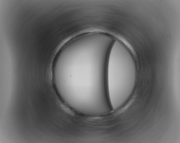 X0000115510837200911061001