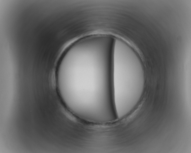 X0000115510838200911061001