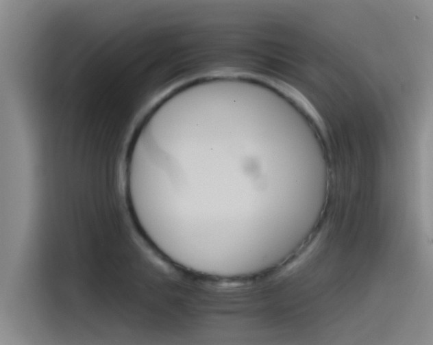 X0000115510839200911061001