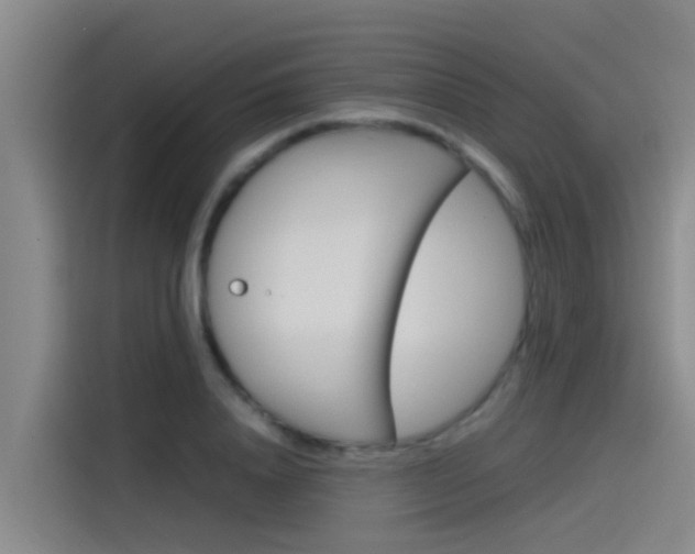 X0000115510840200911061001