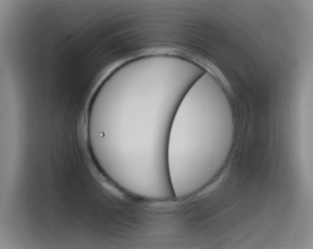 X0000115510844200911061001