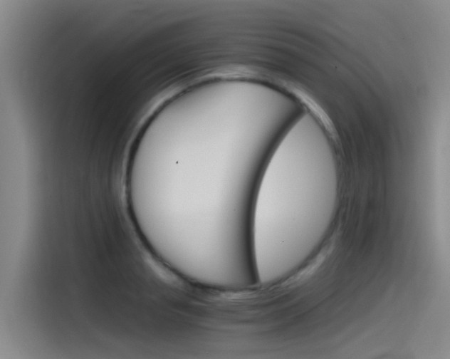 X0000115510845200911061001