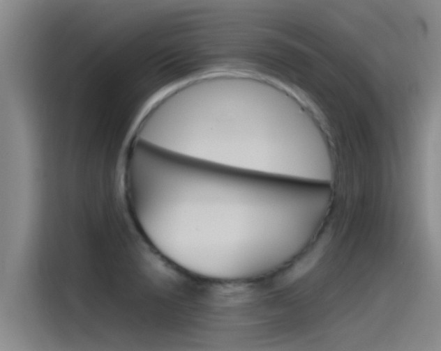 X0000115510846200911061001