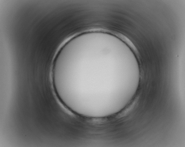 X0000115510847200911061001