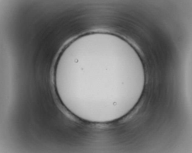 X0000115510848200911061001