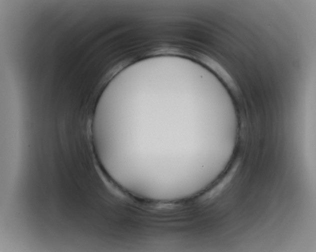 X0000115510849200911061001