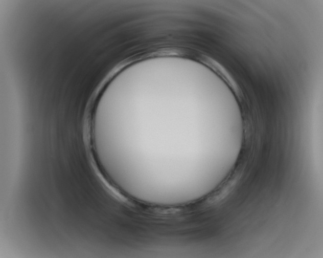 X0000115510851200911061001