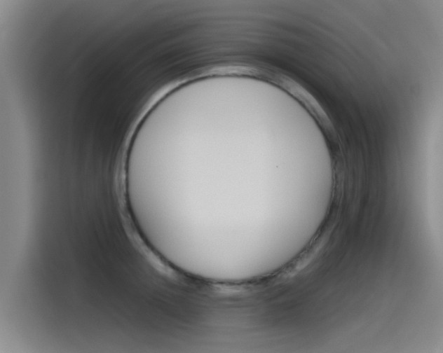 X0000115510852200911061001