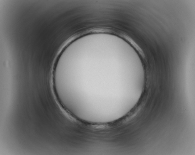X0000115510853200911061001