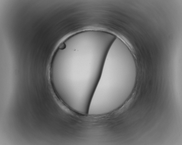 X0000115510854200911061001