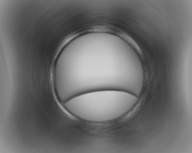 X0000115510855200911061001