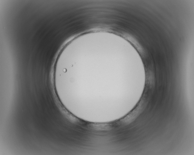 X0000115510856200911061001