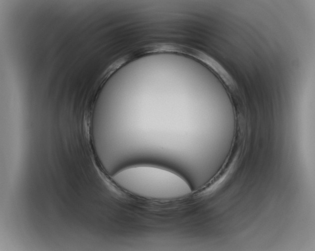 X0000115510857200911061001