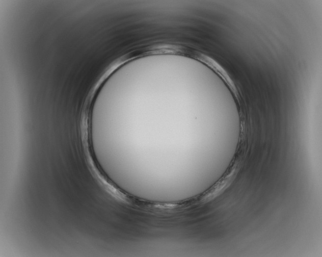X0000115510859200911061001