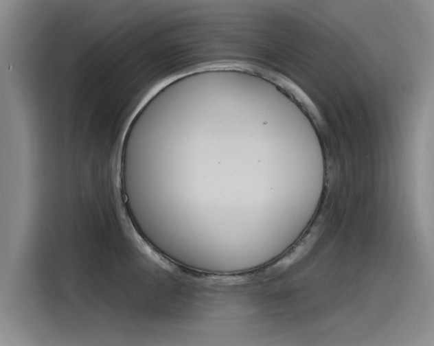 X0000115510860200911061001