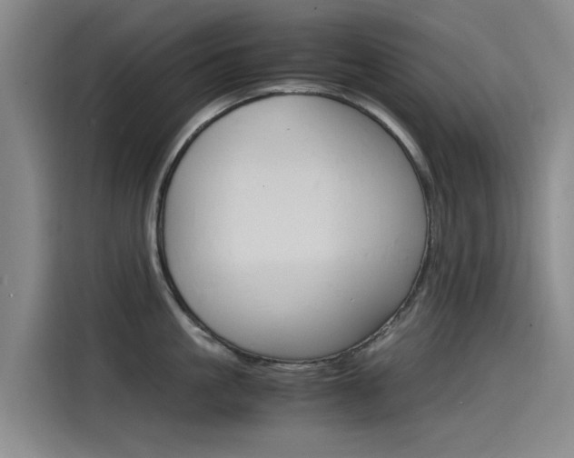 X0000115510861200911061001