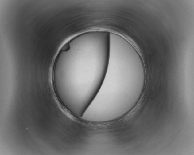 X0000115510862200911061001