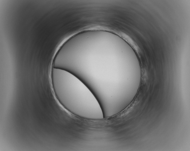 X0000115510863200911061001
