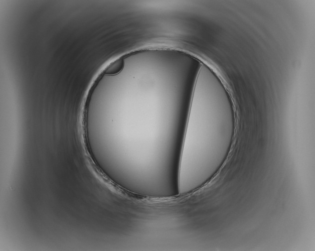 X0000115510864200911061001
