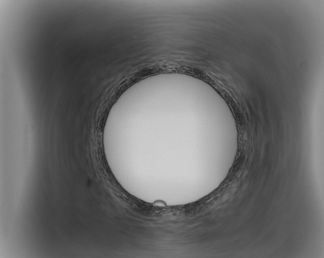 X0000115510865200911061001