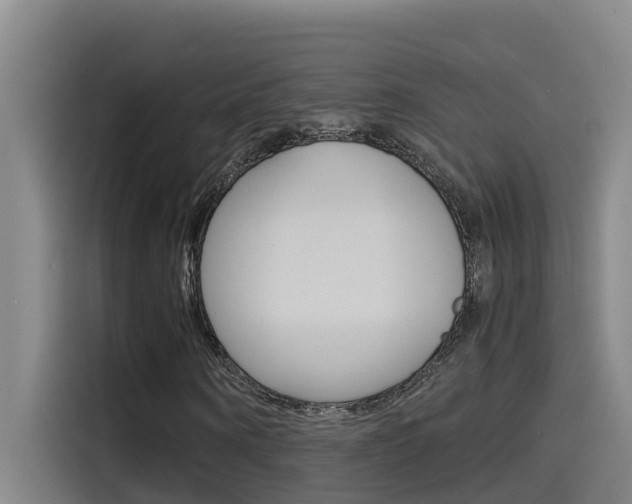 X0000115510866200911061001