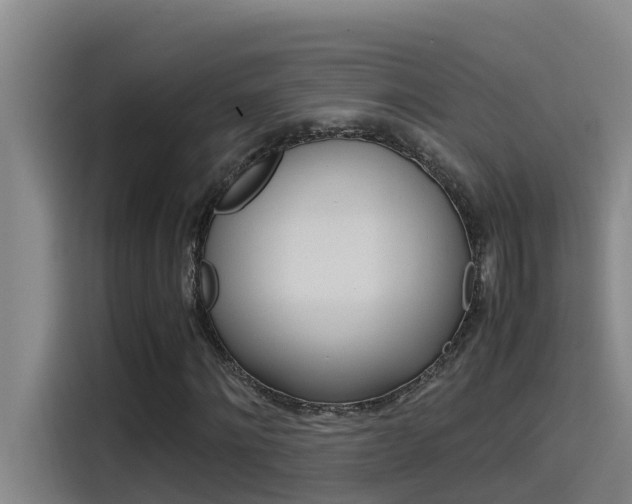 X0000115510868200911061001